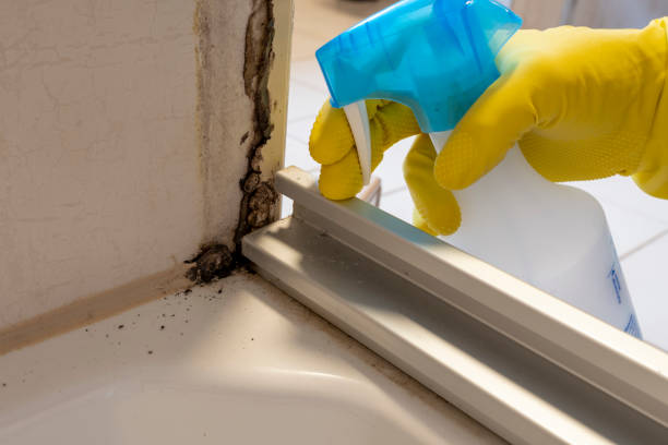 Best Mold Remediation for Healthcare Facilities  in Mount Carmel, IL